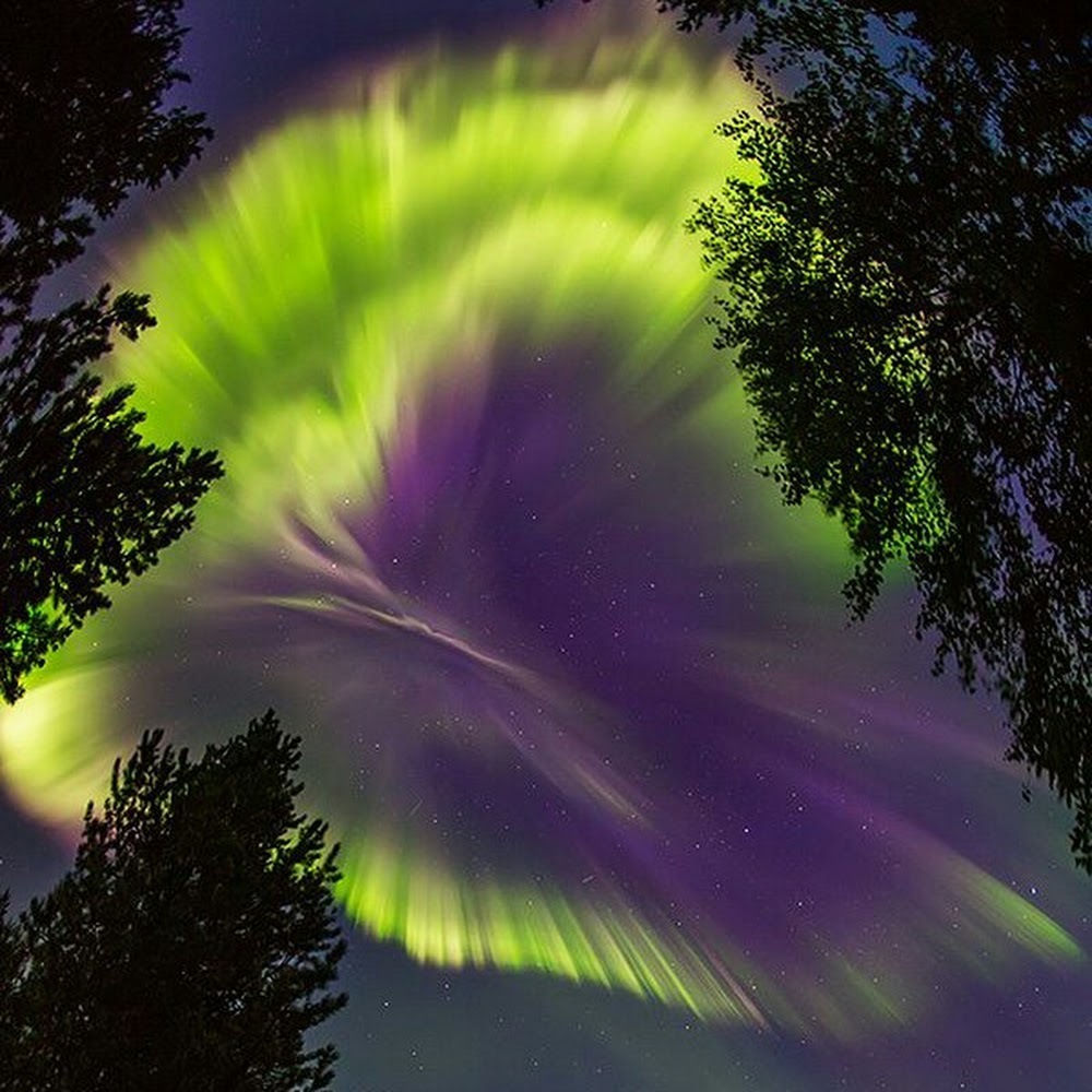 Meet your Posher, Chuy